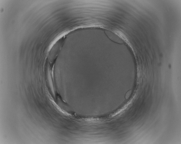 X0000060790789200511241844