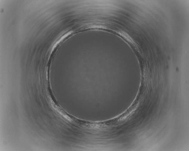 X0000060790790200511241844