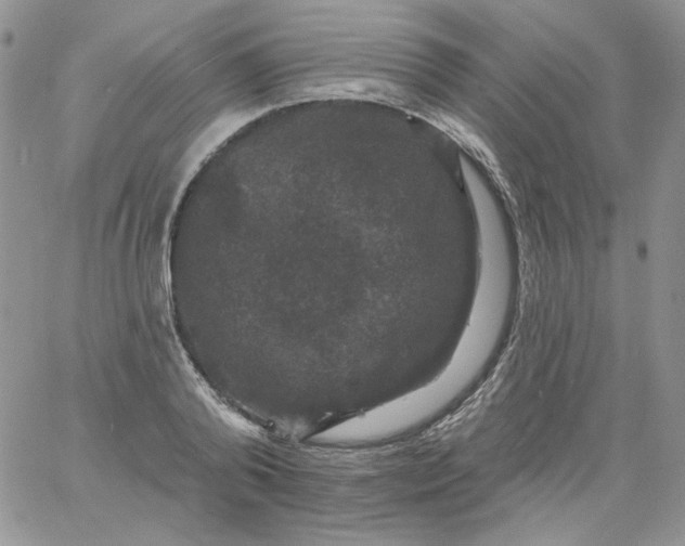 X0000060790792200511241844