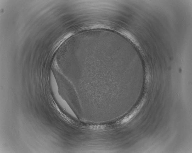 X0000060790793200511241844