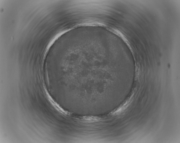 X0000060790795200511241844