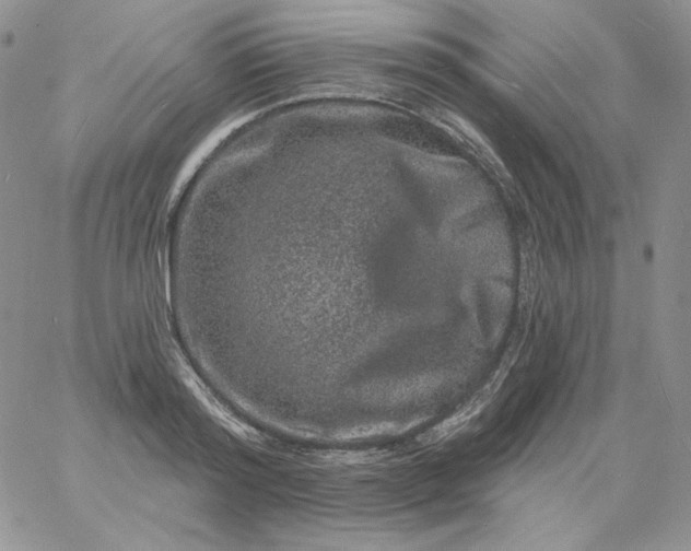 X0000060790796200511241844