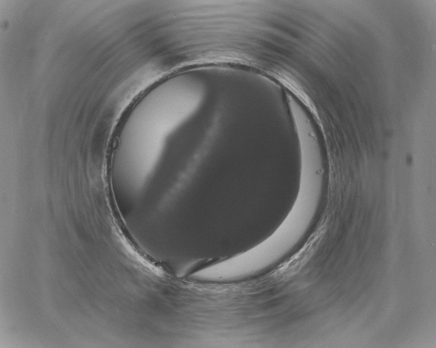 X0000060790797200511241844