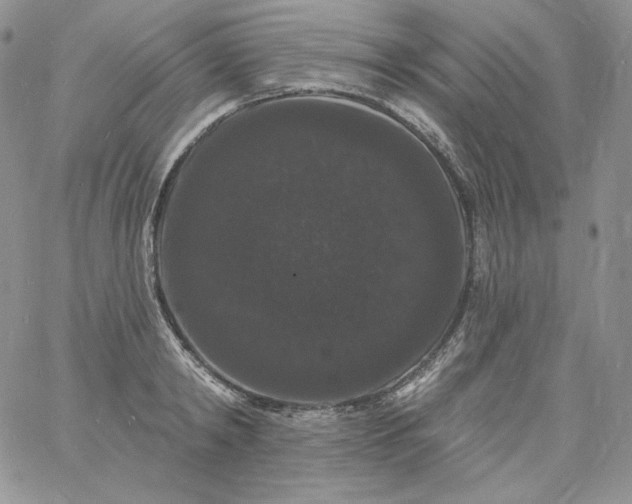 X0000060790798200511241843