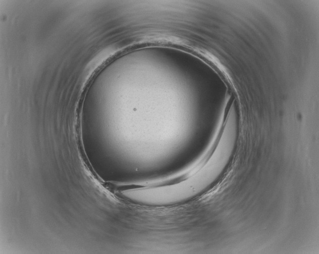 X0000060790799200511241843