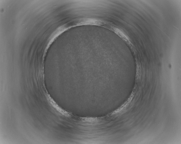 X0000060790800200511241843