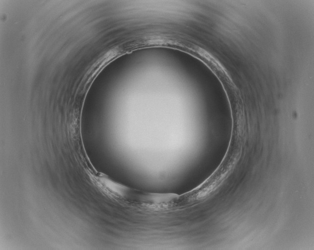 X0000060790801200511241843