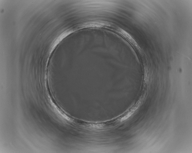 X0000060790802200511241843