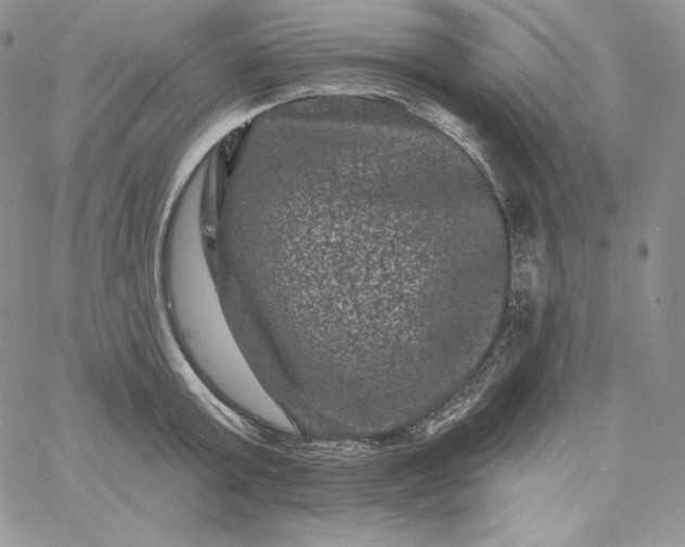 X0000060790803200511241843