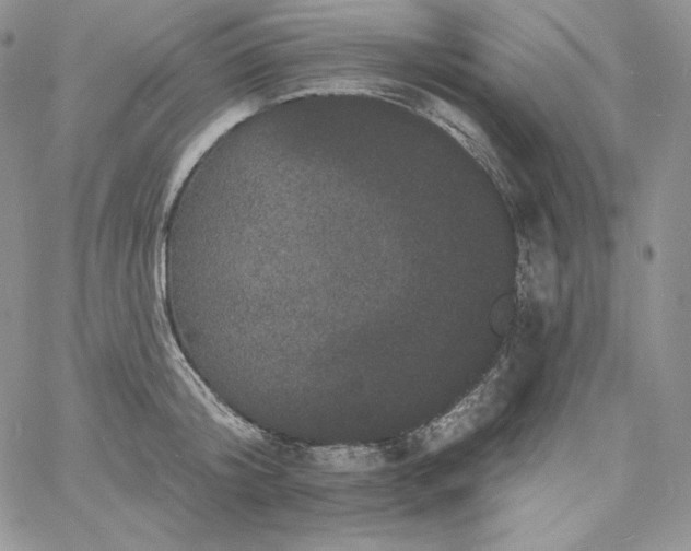 X0000060790804200511241843