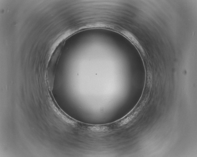 X0000060790805200511241843