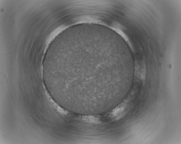 X0000060790807200511241843