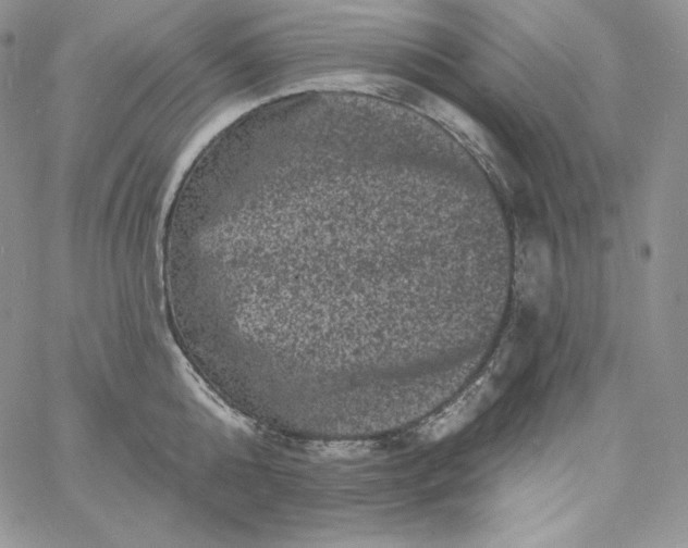 X0000060790808200511241843