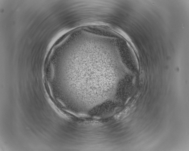 X0000060790811200511241843