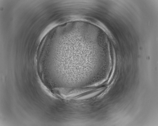 X0000060790814200511241843