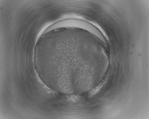 X0000060790815200511241843