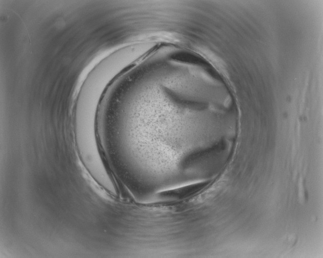 X0000060790816200511241843