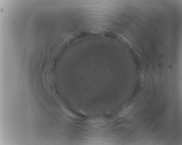 X0000060790817200511241842