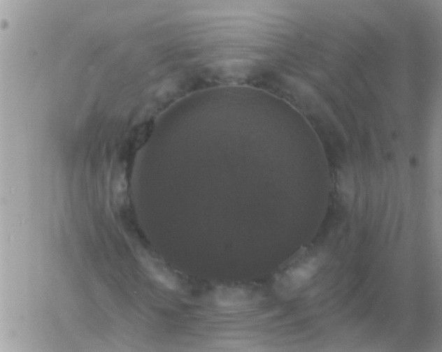 X0000060790818200511241842