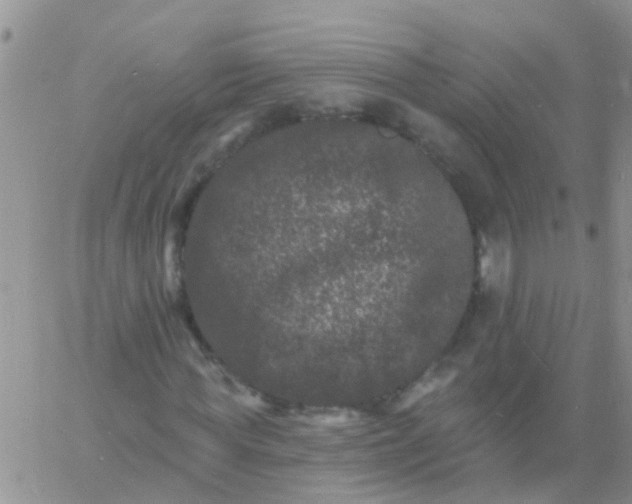 X0000060790819200511241842