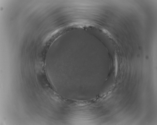 X0000060790822200511241843