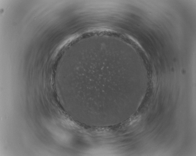 X0000060790823200511241843