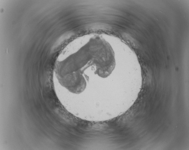 X0000060790824200511241843