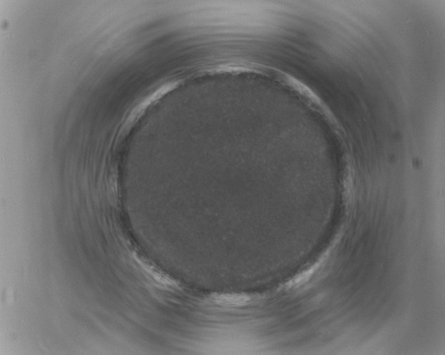 X0000060790825200511241843