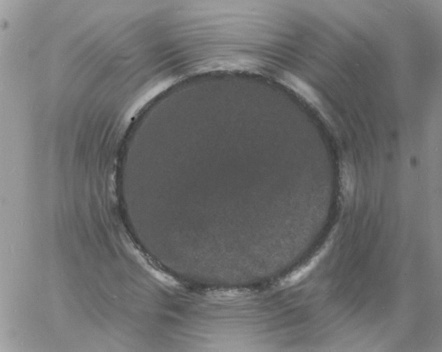 X0000060790826200511241843