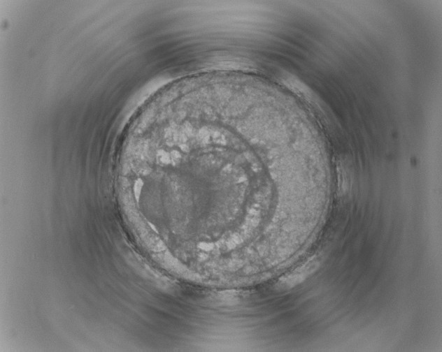 X0000060790828200511241843