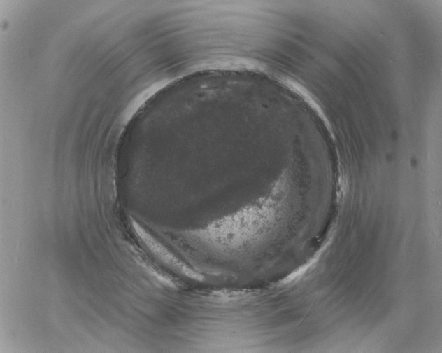 X0000060790829200511241843