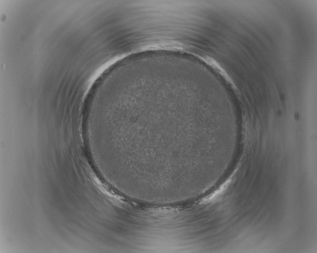 X0000060790830200511241843