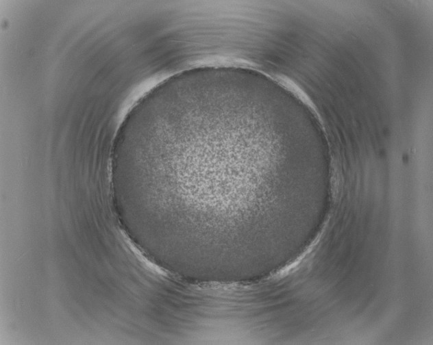 X0000060790831200511241843