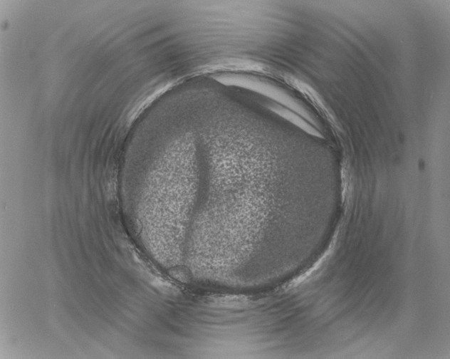 X0000060790833200511241843