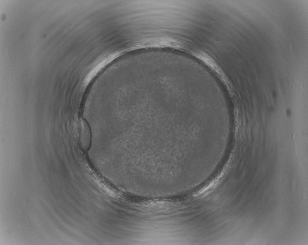 X0000060790834200511241843