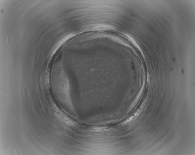 X0000060790835200511241843