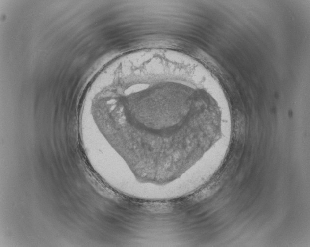 X0000060790836200511241843