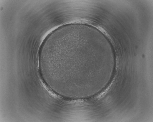 X0000060790838200511241843