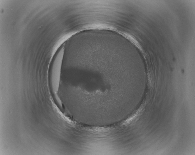 X0000060790839200511241843