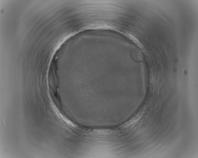 X0000060790840200511241843