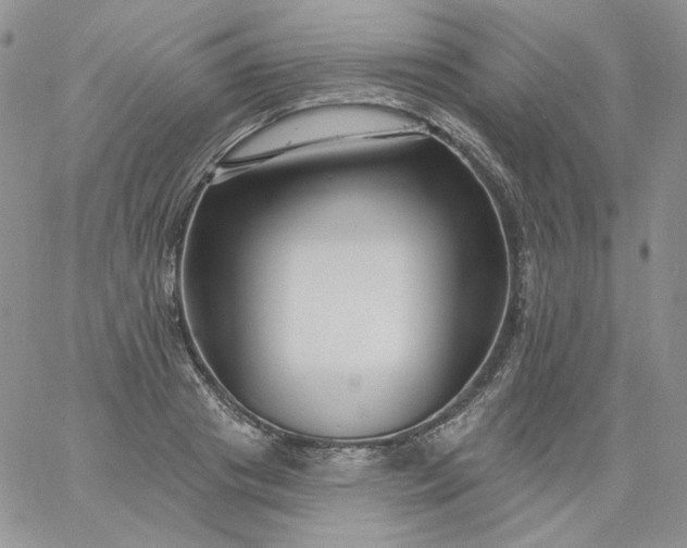 X0000060790841200511241843