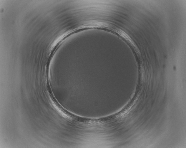 X0000060790842200511241843