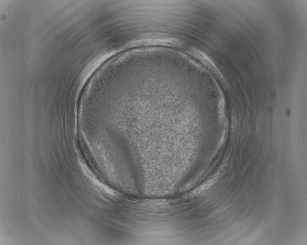 X0000060790844200511241843