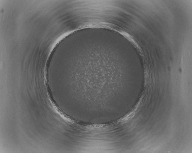 X0000060790846200511241843