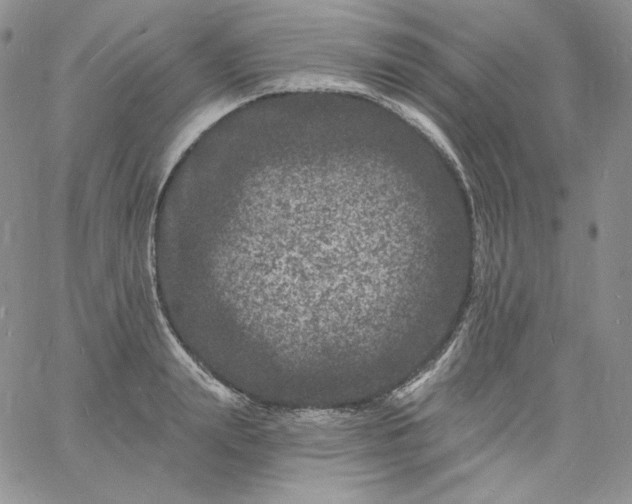 X0000060790847200511241843