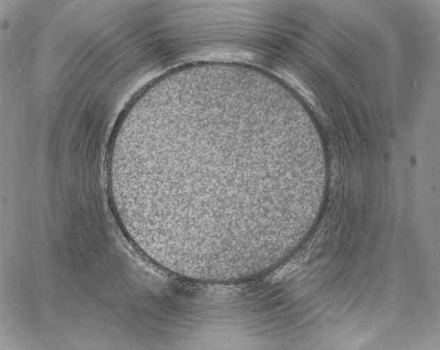 X0000060790848200511241843