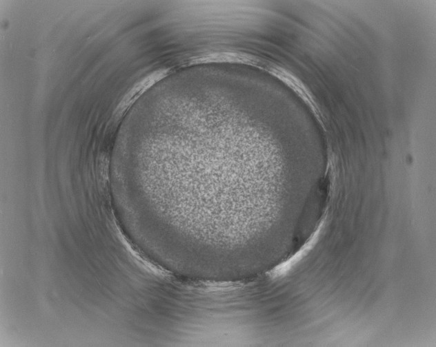 X0000060790849200511241843