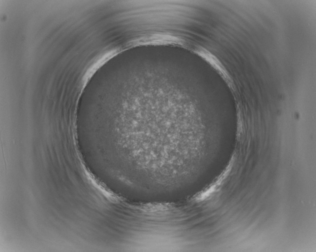 X0000060790850200511241843