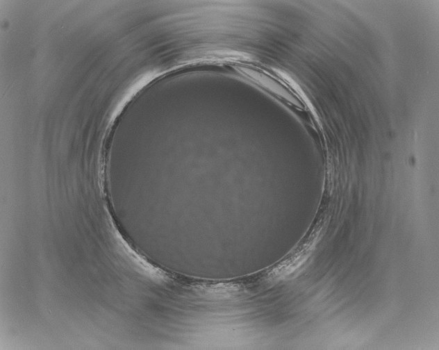 X0000060790851200511241843