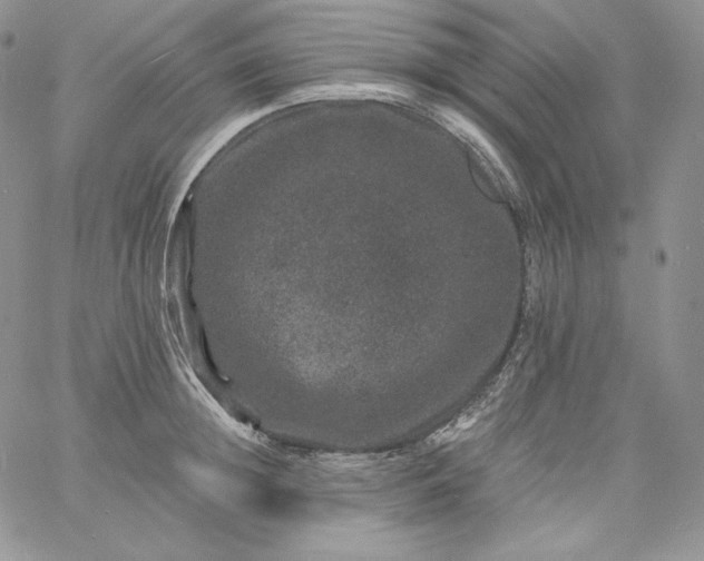 X0000060790852200511241843